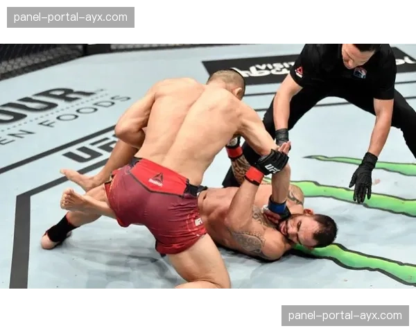 UFC主席白大拿谈2026年扩张计划：非洲总部建设已进入实质阶段